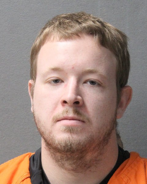 Brandon Dona Hamilton